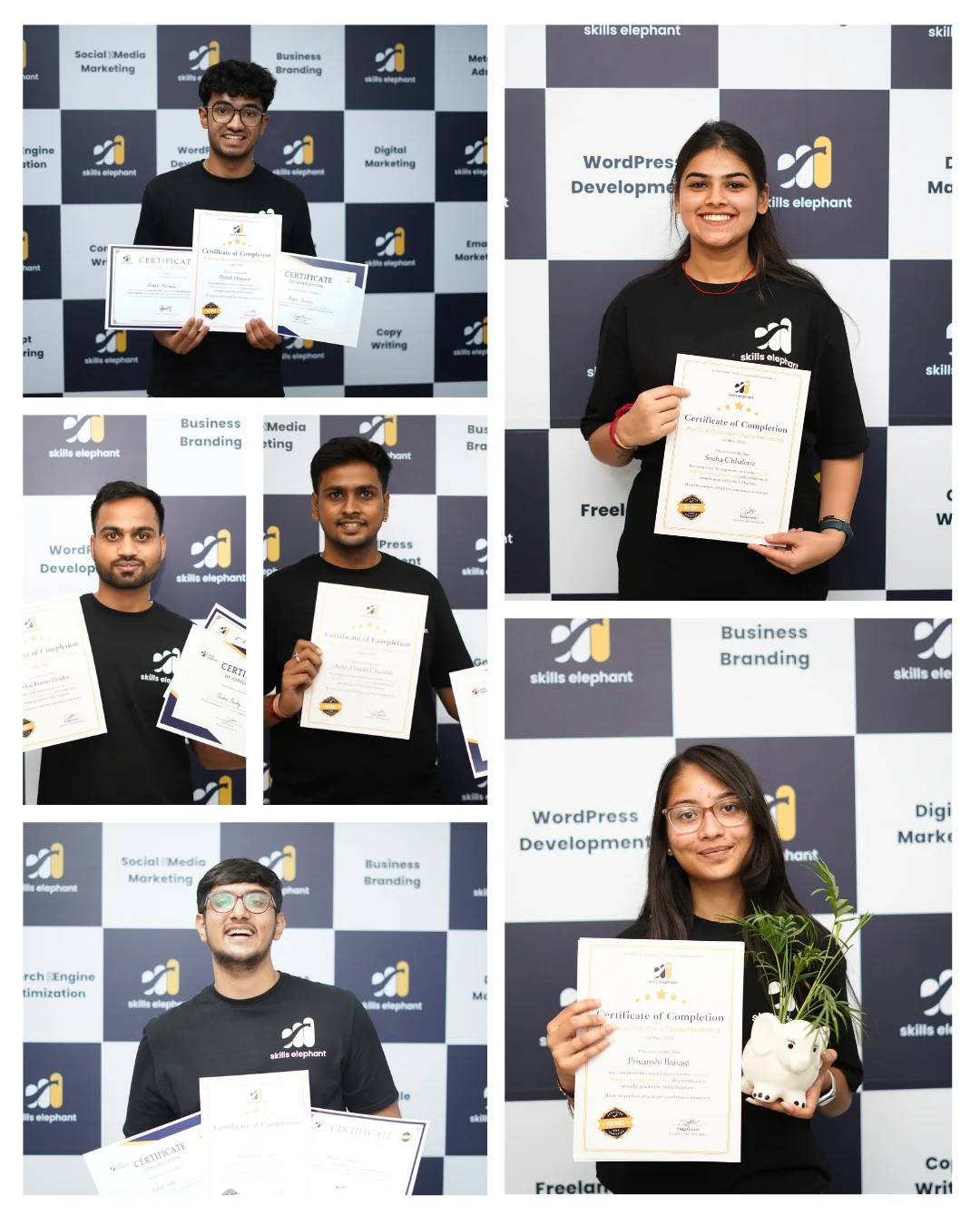 Best digital marketing course in Indore with live training - Skillselephant